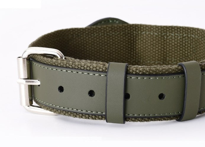 AirTag-Compatible Dog Collar — A Secure Fit for Everyday Adventures