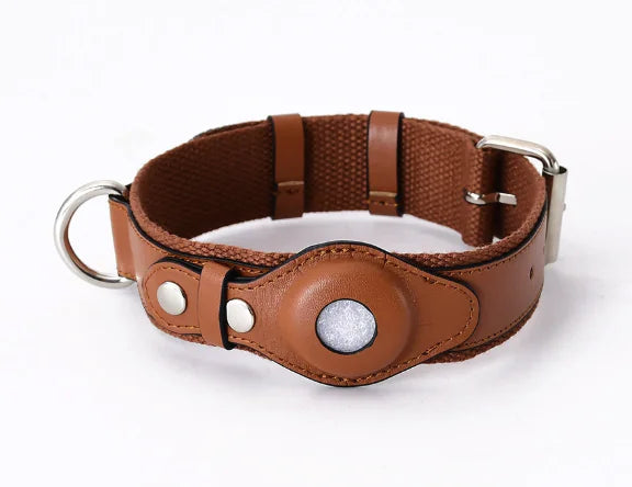 AirTag-Compatible Dog Collar — A Secure Fit for Everyday Adventures